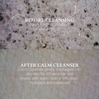 FitGlow Calm Cleanser